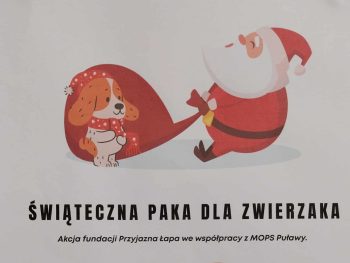 Świąteczna Paka dla Zwierzaka