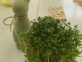 Przy wielkanocnym stole