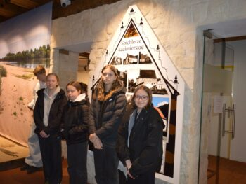 Nasze drzewa i krzewy